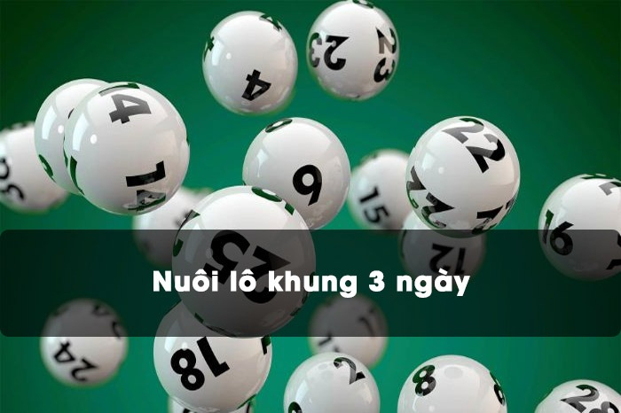 Lo khung 3 ngay nuôi như thế nào? - Cùng khám phá với F8bet