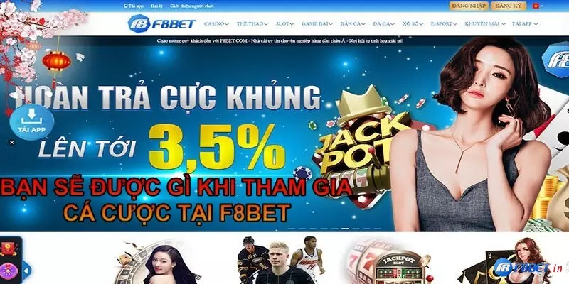 cá cược tại f8bet