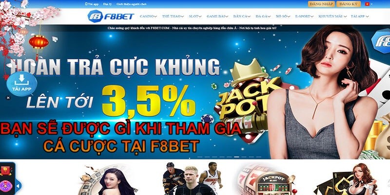 bạn sẽ được gì khi tham gia cá cược tại f8bet